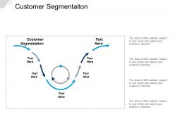 Customer segmentaiton ppt powerpoint presentation icon example topics cpb
