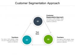 Customer segmentation approach ppt powerpoint presentation file influencers cpb