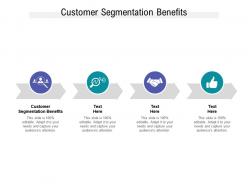 Customer segmentation benefits ppt powerpoint presentation professional shapes cpb