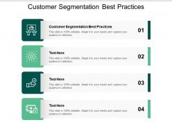 Customer segmentation best practices ppt powerpoint presentation show aids cpb