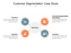 Customer segmentation case study ppt powerpoint presentation summary microsoft cpb