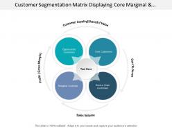 Customer segmentation matrix displaying core marginal and opportunistic customer