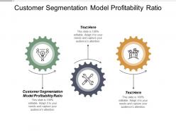 Customer segmentation model profitability ratio ppt powerpoint presentation deck cpb