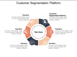 Customer segmentation platform ppt powerpoint presentation summary designs cpb