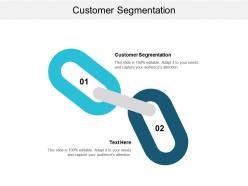 Customer segmentation ppt powerpoint presentation file format ideas cpb