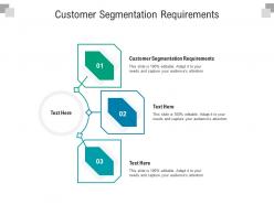 Customer segmentation requirements ppt powerpoint presentation icon professional cpb
