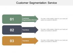 Customer segmentation service ppt powerpoint presentation file example cpb