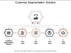 Customer segmentation solution ppt powerpoint presentation ideas infographics cpb