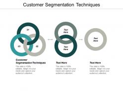 Customer segmentation techniques ppt powerpoint presentation pictures elements cpb