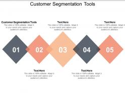 Customer segmentation tools ppt powerpoint presentation infographic template portfolio cpb