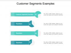 Customer segments examples ppt powerpoint presentation file pictures cpb