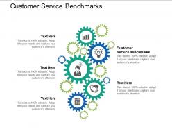 Customer service benchmarks ppt powerpoint presentation gallery graphics design cpb