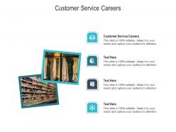 Customer service careers ppt powerpoint presentation file icons cpb