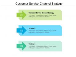 Customer service channel strategy ppt powerpoint presentation summary example file cpb