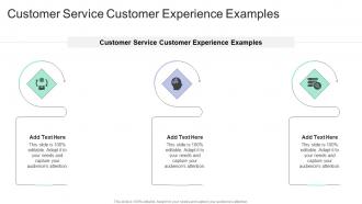 Customer Service Customer Experience Examples In Powerpoint And Google Slides Cpb