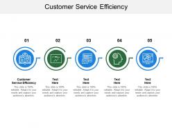 Customer service efficiency ppt powerpoint presentation pictures introduction cpb