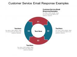 Customer service email response examples ppt powerpoint presentation infographics objects cpb