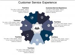 Customer service experience ppt powerpoint presentation ideas outline cpb