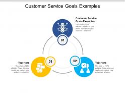 Customer service goals examples ppt powerpoint presentation file smartart cpb