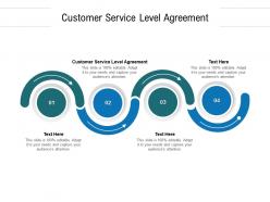 Customer service level agreement ppt powerpoint professional examples cpb