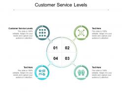 Customer service levels ppt powerpoint presentation infographics format ideas cpb