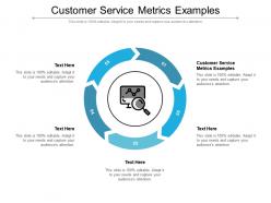 Customer service metrics examples ppt powerpoint presentation pictures objects cpb