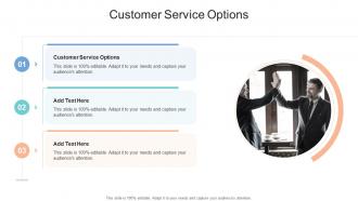 Customer Service Options In Powerpoint And Google Slides Cpb