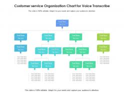 Customer service organization chart for voice transcribe infographic template