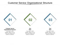 Customer service organizational structure ppt powerpoint presentation professional show cpb