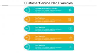 Customer service plan examples ppt powerpoint presentation inspiration outfit cpb
