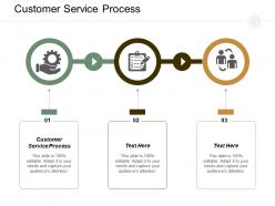 Customer service process ppt powerpoint presentation infographics summary cpb