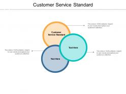 Customer service standard ppt powerpoint presentation gallery designs cpb