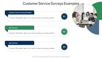 Customer Service Surveys Examples In Powerpoint And Google Slides Cpb