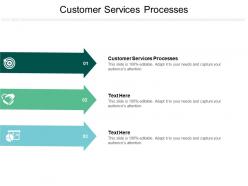 Customer services processes ppt powerpoint presentation inspiration icon cpb