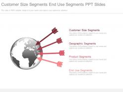 Customer size segments end use segments ppt slides
