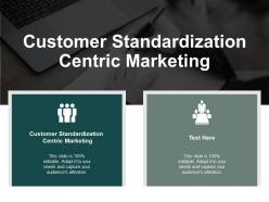 Customer standardization centric marketing ppt powerpoint presentation model icon cpb