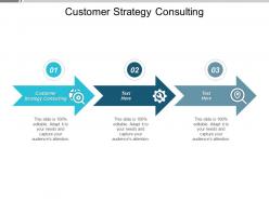 Customer strategy consulting ppt powerpoint presentation icon tips cpb