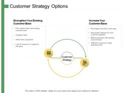 Customer strategy options ppt powerpoint presentation summary graphics tutorials