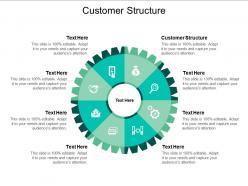 Customer structure ppt powerpoint presentation show inspiration cpb
