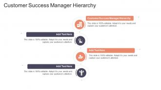 Customer Success Manager Hierarchy In Powerpoint And Google Slides Cpb