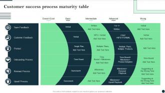 Customer Success Process Maturity Table Customer Success Best Practices Guide