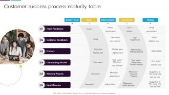 Customer Success Process Maturity Table Guide To Customer Success