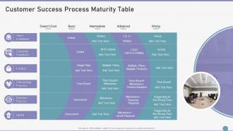 Customer Success Process Maturity Table Ppt Show Information