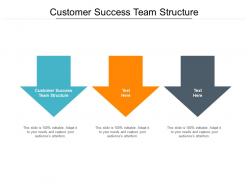 Customer success team structure ppt powerpoint presentation slides background cpb