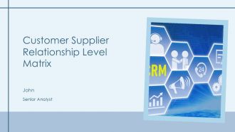 Customer Supplier Relationship Level Matrix PPT Designs AT