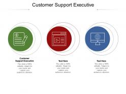 Customer support executive ppt powerpoint presentation infographic template cpb
