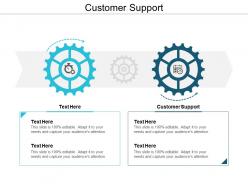 Customer support ppt powerpoint presentation file elements cpb