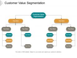 Customer value segmentation ppt powerpoint presentation infographics background cpb