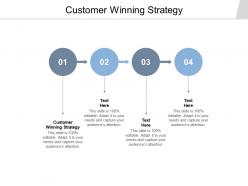 Customer winning strategy ppt powerpoint presentation file designs download cpb