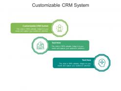 Customizable crm system ppt powerpoint presentation slides portrait cpb